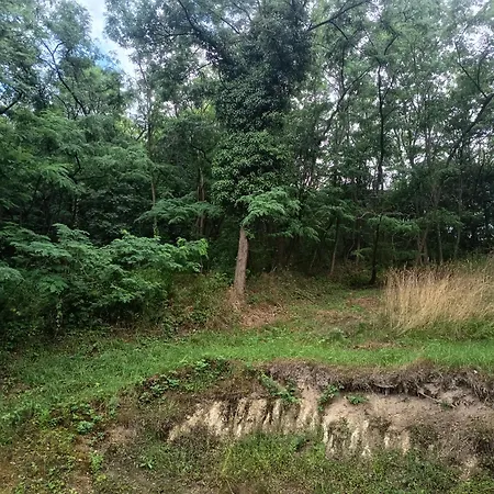 Hamvasdomb Vendeghaz Apartment *